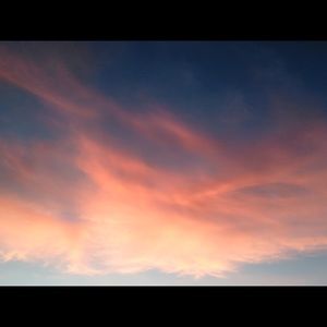 Meet your Posher, Lily